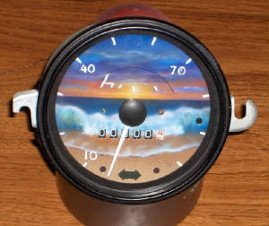 wavespeedo.jpg